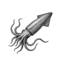 calamareix