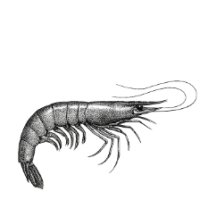 gambeix-menu